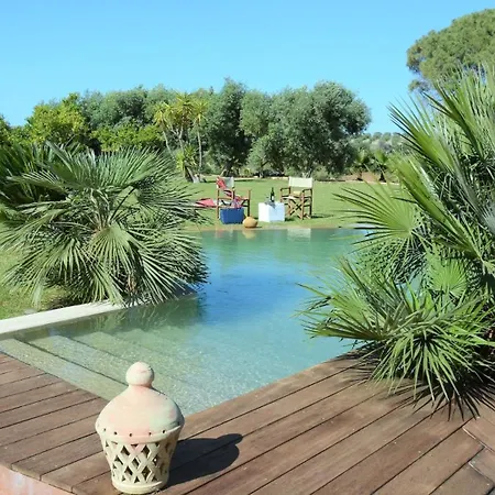 Zagara 6 By Massimo ヴィラ カステルヴェトラーノ