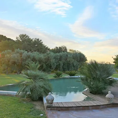 Zagara 6 By Massimo * カステルヴェトラーノ